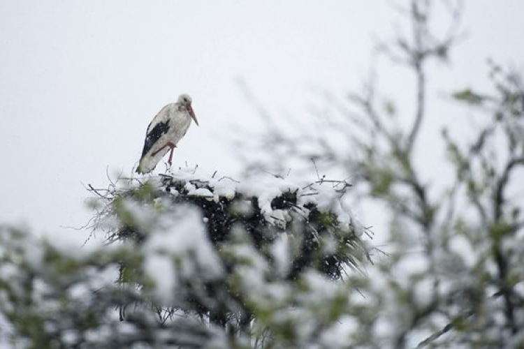 Félmilliárdos kárt okozott az áprilisi tél